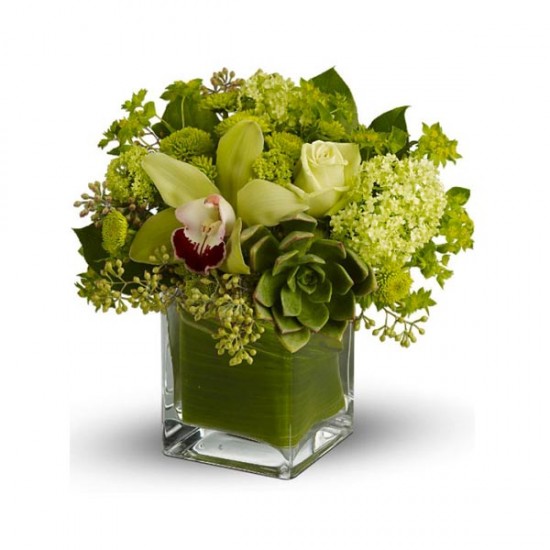 Le bouquet Forêt tropicale Le bouquet Forêt tropicale